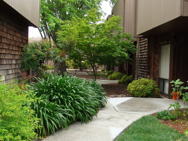 Bicentennial Apartments photo 5